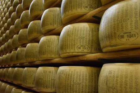 Тамбовские предприятия на 13% увеличили производство сыров 