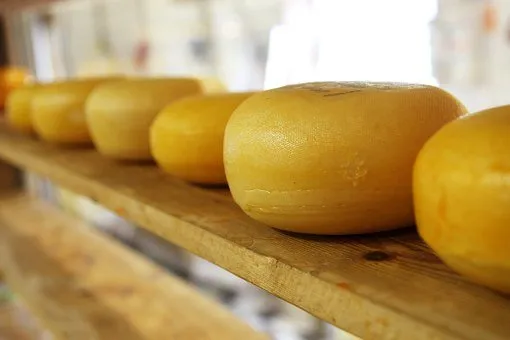 В Тамбовской области после введения маркировки выросло производство сыров