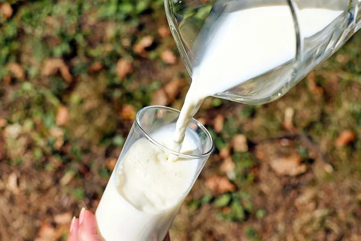 Более тонны некачественной молочной продукции было снято с продажи в Тамбовской области - Роспотребнадзор 